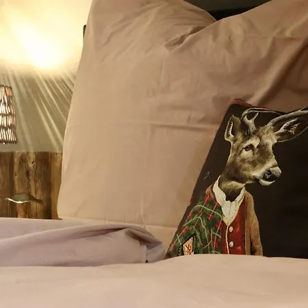 24 بيت للعطل *